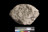 藏品(泥質結核)的圖片